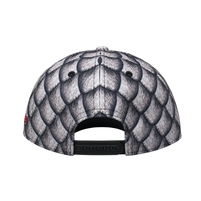 Gorra Visera Game Of Thrones