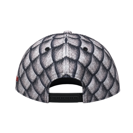 Gorra Visera Game Of Thrones