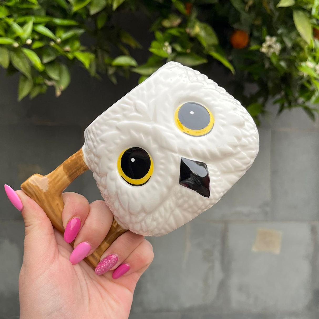 Taza Temática Hedwin Harry Potter